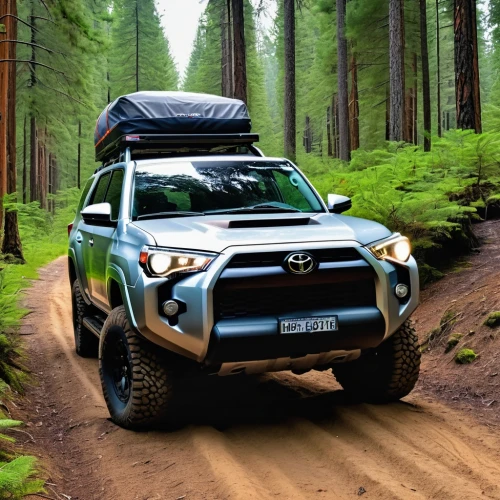 toyota 4runner,4 runner,toyota rav 4,toyota rav4,toyota rav4 ev,toyota hilux,mitsubishi triton,toyota land cruiser,toyota tacoma,expedition camping vehicle,toyota highlander,compact sport utility vehicle,toyota fortuner,toyota land cruiser prado,toyota fj cruiser,toyota tundra,all-terrain,subaru rex,mazda bt-50,adventure racing,Photography,General,Realistic