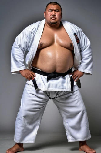 sumo wrestler,judo,jujitsu,buchardkai,battōjutsu,sōjutsu,iaijutsu,jujutsu,kenjutsu,martial arts uniform,haidong gumdo,karate,japanese martial arts,sensei,dai pai dong,ganghwado,tatami,jin deui,dobok,shorinji kempo,Photography,General,Realistic