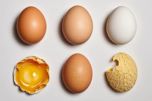 egg shells,egg shell,brown eggs,goose eggs,bisected egg,painted eggshell,eggshells,eggshell,chicken eggs,brown egg,eggs,painted eggs,broken eggs,organic egg,egg,chicken egg,colored eggs,range eggs,lay eggs,chicken and eggs,Illustration,American Style,American Style 11