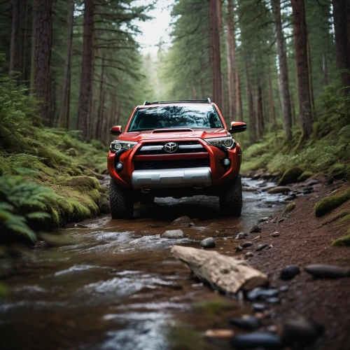 ford ranger,toyota 4runner,4 runner,raptor,toyota tacoma,ecosport,all-terrain,ford ecosport,jeep trailhawk,off-roading,off-road,off road,ranger,dodge power wagon,4x4,chevrolet colorado,toyota fj cruiser,off road toy,4wd,off-road car,Photography,General,Cinematic