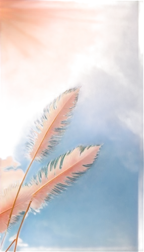 white feather,feather,chicken feather,swan feather,bird feather,feather bristle grass,feather on water,angel wing,feather carnation,ostrich feather,feathers,hawk feather,pink quill,pigeon feather,color feathers,angel wings,cattails,feather jewelry,feather pen,parrot feathers,Art,Classical Oil Painting,Classical Oil Painting 09