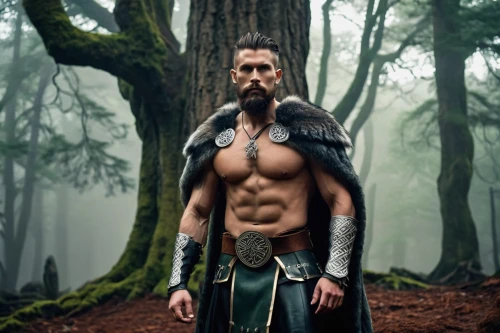 male elf,thorin,viking,king arthur,forest man,male character,barbarian,elven,warrior east,woodsman,tarzan,norse,god of thunder,sparta,fantasy warrior,wood elf,the warrior,bordafjordur,black warrior,vikings,Photography,Documentary Photography,Documentary Photography 33