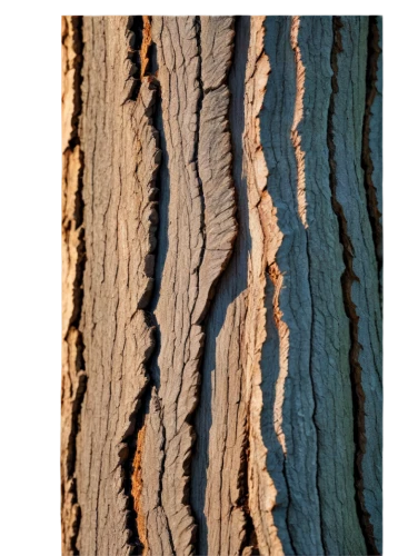 tree bark,birch bark,wood wool,tree texture,slippery elm,shellbark hickory,trees with stitching,wood texture,sackcloth textured,birch trunk,grey alder,ornamental wood,eastern black walnut,english walnut,european ash,fabric texture,californian white oak,walnut leaf,swamp birch,brushwood,Art,Classical Oil Painting,Classical Oil Painting 08