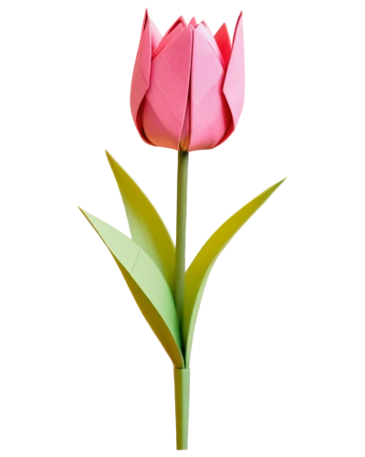 turkestan tulip,pink tulip,tulip background,flowers png,tulipa,tulip,tulip blossom,two tulips,tulip flowers,pink tulips,rose png,lotus png,tulipa tarda,vineyard tulip,siam tulip,tulip magnolia,lady tulip,wild tulip,tulip bouquet,tulip white,Unique,Paper Cuts,Paper Cuts 02