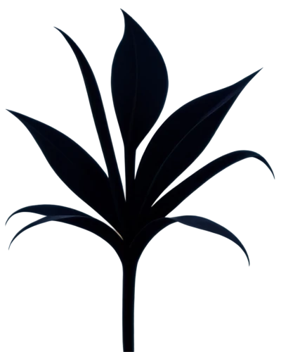 growth icon,garden logo,lotus png,oil-related plant,mape leaf,palm tree vector,lotus leaf,mugwort,century plant,sapling,four-leaf,oleaceae,tropical leaf,ornamental plants,smooth solomon's seal,custody leaf,perennial plants,botanical,sabal palmetto,fig leaf,Art,Artistic Painting,Artistic Painting 08