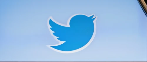 twitter logo,twitter bird,twitter wall,social media icon,tweets,social media manager,twitter,tweeting,tweet,twitter pattern,social logo,banner,social media following,the integration of social,community manager,social,social media marketing,twitter icon,social network service,social media network,Photography,Black and white photography,Black and White Photography 06