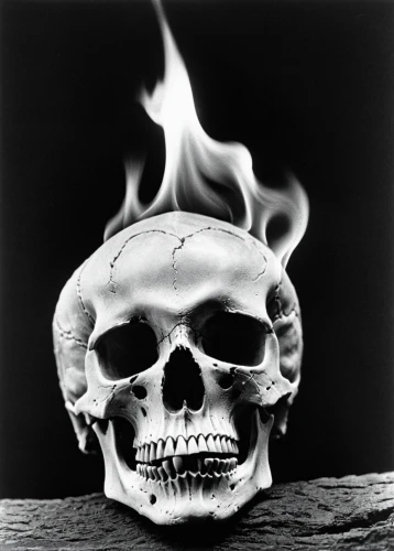 skull sculpture,scull,skull bones,skull,human skull,skull with crown,death's head,death's-head,skull mask,skull statue,memento mori,calavera,animal skull,skull and cross bones,vintage skeleton,fetus skull,death head,death mask,skull allover,flickering flame,Photography,Black and white photography,Black and White Photography 10