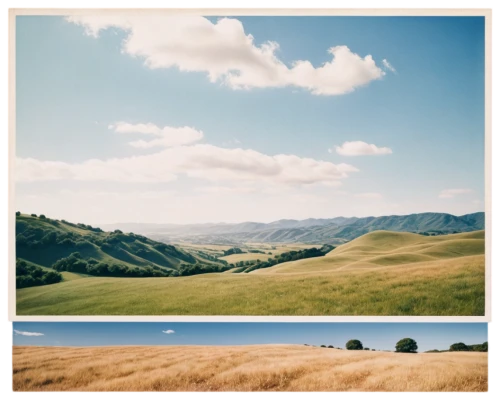 grasslands,grassland,rolling hills,view panorama landscape,salt meadow landscape,landscapes,grain field panorama,lubitel 2,panoramic landscape,hills,alpine meadows,northern california,the hills,hillsides,landscape photography,landscape background,mountain meadow hay,plains,wheat fields,ranges,Photography,Documentary Photography,Documentary Photography 03