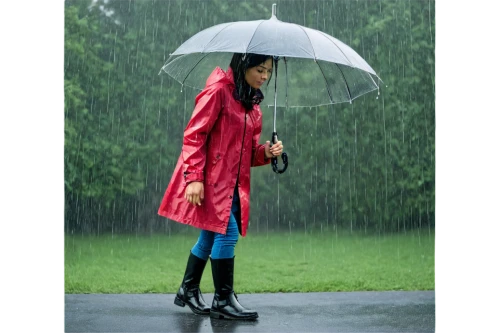 raincoat,rain boot,umbrella pattern,rain protection,walking in the rain,protection from rain,brolly,asian umbrella,in the rain,mary poppins,heavy rain,weatherproof,rain suit,rubber boots,rain,raindops,rain stoppers,rainy weather,umbrella,rainy season,Conceptual Art,Sci-Fi,Sci-Fi 20