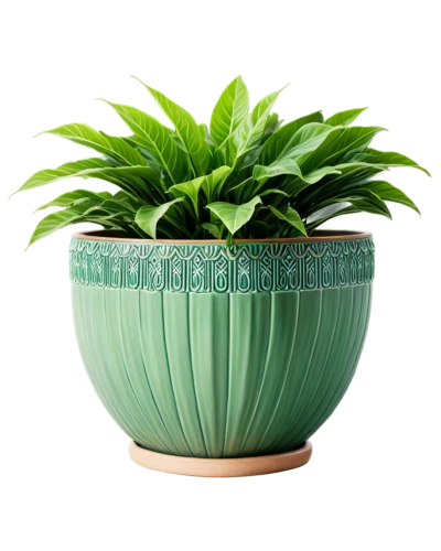 terracotta flower pot,androsace rattling pot,plant pot,garden pot,pot plant,china pot,potted plant,wooden flower pot,money plant,flowerpot,two-handled clay pot,flower pot,potted palm,plant pots,dark green plant,container plant,plants in pots,flower pot holder,patrol,citronella,Illustration,Vector,Vector 16