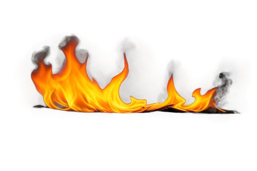 fire logo,fire background,conflagration,the conflagration,fire in fireplace,fire-extinguishing system,fire screen,sweden fire,burnout fire,fire extinguishing,arson,firespin,cleanup,fire ring,burned firewood,inflammable,fires,bushfire,brand,newspaper fire,Conceptual Art,Daily,Daily 29