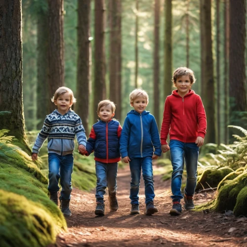 happy children playing in the forest,walk with the children,pine family,temperate coniferous forest,children,children's christmas photo shoot,children is clothing,photographing children,photos of children,children's background,pictures of the children,forest animals,forest walk,arrowroot family,nomadic children,vintage children,children's photo shoot,coniferous forest,stick children,evergreen trees