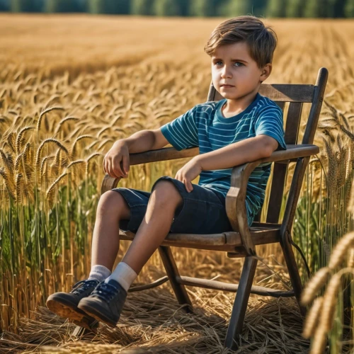 chair in field,child is sitting,straw field,lonely child,field of cereals,wheat field,wheat fields,wheat crops,child portrait,wheat,farm set,farm background,farmer,rye in barley field,wheat ear,wheat grain,child's frame,grain field,durum wheat,aggriculture