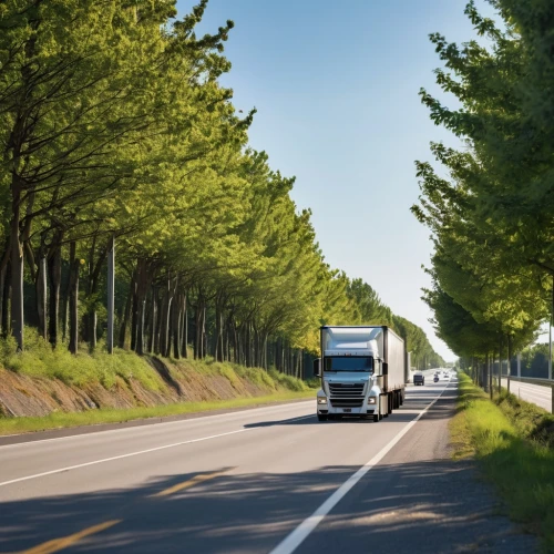 freight transport,semitrailer,18-wheeler,commercial vehicle,tractor trailer,aaa,no overtaking by lorries,long-distance transport,vehicle transportation,truck driver,semi,fleet and transportation,delivery trucks,long cargo truck,semi-trailer,trucking,freight,18 wheeler,counterbalanced truck,tropical and subtropical coniferous forests,Photography,General,Realistic