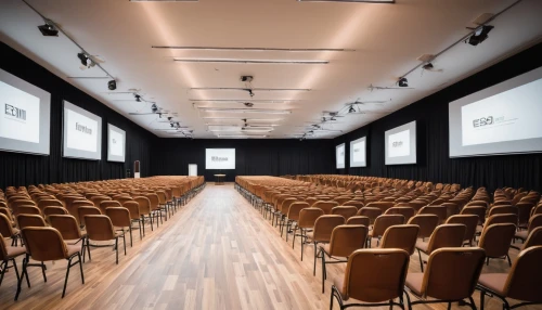 auditorium,conference hall,performance hall,lecture hall,digital cinema,lecture room,event venue,concert hall,conference room,projection screen,theater stage,theatre,theatre stage,function hall,factory hall,seminar,music venue,the conference,concert venue,theater curtains,Illustration,Realistic Fantasy,Realistic Fantasy 34