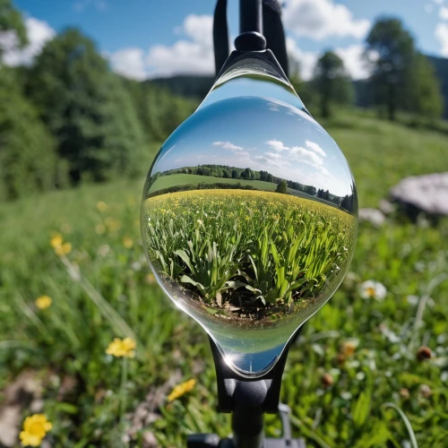 mirror in the meadow,magnify glass,magnifying lens,mirror in a drop,magnifier glass,magnifying glass,lensball,rear-view mirror,lens reflection,lamp cleaning grass,crystal ball-photography,earth in focus,parabolic mirror,automotive side-view mirror,exterior mirror,depth of field,grass golf ball,magnifying,background view nature,360 ° panorama,Photography,General,Realistic