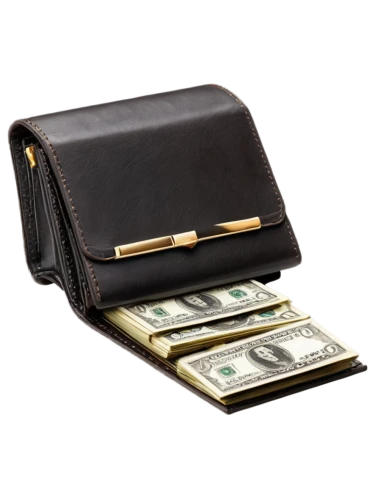 wallet,money bag,coin purse,business bag,desk organizer,attache case,money case,passive income,moneybag,purse,purses,financial concept,money transfer,briefcase,moneybox,expenses management,luxury accessories,kids cash register,financial education,money bags,Illustration,Realistic Fantasy,Realistic Fantasy 35