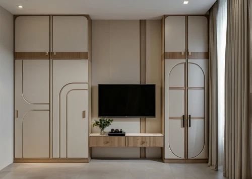 walk-in closet,room divider,cabinetry,hinged doors,armoire,tv cabinet,kitchen cabinet,pantry,cupboard,cabinets,entertainment center,sliding door,hallway space,contemporary decor,kitchenette,interior modern design,sideboard,search interior solutions,dark cabinetry,modern room
