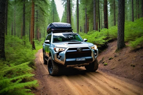 toyota 4runner,4 runner,toyota rav4,toyota rav 4,nissan xterra,toyota land cruiser,toyota rav4 ev,mitsubishi triton,lexus gx,toyota hilux,offroad,toyota tacoma,off road,off-road,off road toy,off-roading,toyota fj cruiser,off road vehicle,nissan armada,toyota land cruiser prado