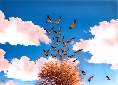 bird in the sky,autumn sky,birds flying,birds in flight,birds on branch,flying birds,birds on a branch,mumuration,flock of birds,sky of autumn,sky butterfly,butterfly background,flying seeds,spring leaf background,blue birds and blossom,sky,bird flight,pigeon flight,doves of peace,autumn background,Illustration,Black and White,Black and White 07