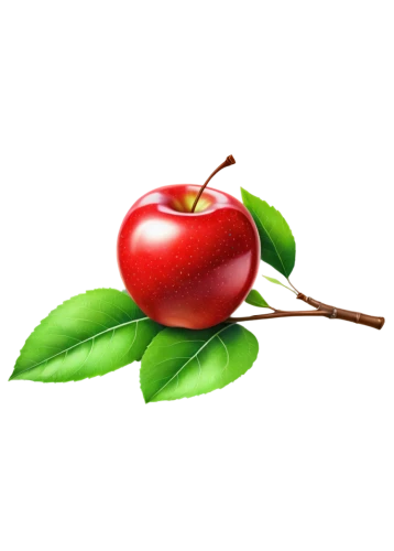 acerola,great cherry,bladder cherry,cherry branch,cherries,cherry,hill cherry,jewish cherries,sweet cherries,cherry twig,rowanberries,wild cherry,sweet cherry,apple pie vector,sour cherries,fire cherry,oregon cherry,red apple,red plum,apple logo,Unique,Design,Sticker