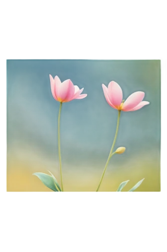 flowers png,tulip background,flower background,watercolor floral background,pink floral background,floral greeting card,narcissus pink charm,flower painting,pink tulips,floral digital background,bush anemone,japanese floral background,flower illustrative,pink tulip,snowdrop anemones,anemone hupehensis september charm,floral background,pink lisianthus,tulipa,paper flower background,Conceptual Art,Sci-Fi,Sci-Fi 12