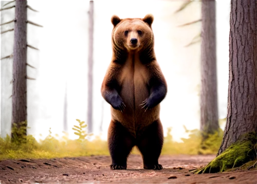 nordic bear,cute bear,brown bear,bear,bear guardian,little bear,scandia bear,forest animal,cub,great bear,bear cub,pandabear,anthropomorphized animals,woodland animals,forest animals,bear bow,bear teddy,baby bear,grizzly bear,grizzly,Art,Artistic Painting,Artistic Painting 25