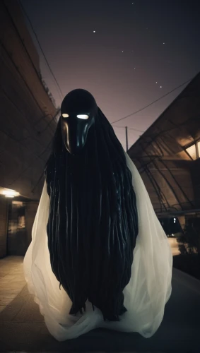 wraith,faceless,burqa,3d crow,sadu,penumbra,anonymous mask,veil,dead bride,night image,raven rook,cloak,the angel with the veronica veil,night bird,the nun,ursa major,horsehead,emperor penguin,photo session at night,queen of the night,Photography,General,Cinematic