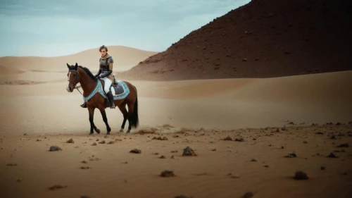 libyan desert,arabian horse,arabian horses,sahara desert,capture desert,sahara,merzouga,gobi desert,arabian camel,arabian,dubai desert,the gobi desert,pure-blood arab,horse herder,desert racing,desert,desert background,thoroughbred arabian,admer dune,desert run