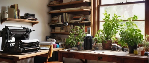 herbarium,workbench,house plants,sewing room,bamboo plants,workspace,the living room of a photographer,apothecary,vintage kitchen,work space,shelving,photography studio,shelves,vintage botanical,working space,home interior,writing desk,wooden shelf,ikebana,plate shelf,Illustration,Vector,Vector 14