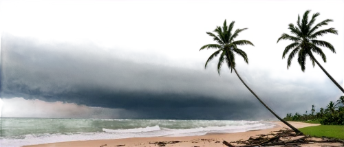 tropical cyclone,nature's wrath,shelf cloud,tropical cyclone catarina,srilanka,storm surge,water spout,coconut palms,travel insurance,palmbeach,coastal protection,hurricane irma,coconut trees,hurricane matthew,hurricane irene,tornado drum,san storm,atmospheric phenomenon,storm,natural phenomenon,Illustration,Paper based,Paper Based 17