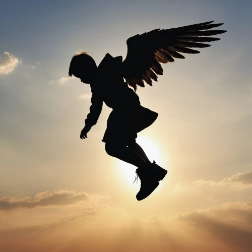 angelology,believe can fly,business angel,angel wing,guardian angel,angel wings,divine healing energy,the archangel,flying heart,wings,flying girl,black angel,flying hawk,winged heart,death angel,dark angel,parachute jumper,archangel,angel of death,flying bird,Photography,General,Realistic