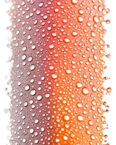 condensation,dew droplets,water droplets,orange drink,orange,drops of water,droplets,rain droplets,dew,droplets of water,dew drops,orange soft drink,rainwater drops,dewdrops,water drops,waterdrops,drops,air bubbles,half orange,wall,Illustration,American Style,American Style 03