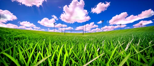 soccer field,artificial grass,football field,green grass,artificial turf,baseball field,green lawn,athletic field,football pitch,lawn,chives field,playing field,grass,grassland,field,soccer-specific stadium,panorama from the top of grass,baseball diamond,grass grasses,landscape background,Illustration,Realistic Fantasy,Realistic Fantasy 37