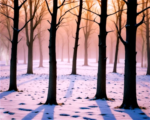 winter forest,winter background,winter landscape,snow landscape,snow trees,snowy landscape,snow scene,birch forest,christmas snowy background,forest landscape,birch tree background,beech trees,winter morning,deciduous forest,forest background,winter magic,wintry,foggy forest,coniferous forest,cartoon video game background,Art,Artistic Painting,Artistic Painting 05