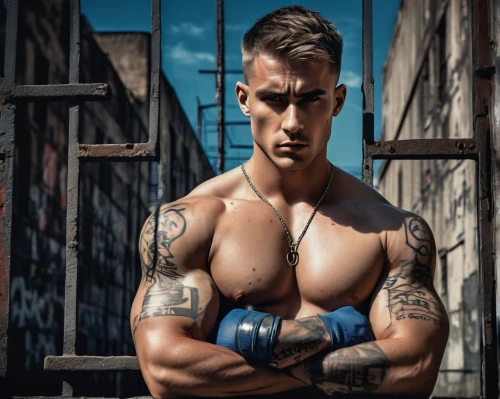 bodybuilding supplement,bodybuilding,danila bagrov,body building,muscled,kettlebell,male model,kickboxer,muscle icon,bodybuilder,strongman,muscular,alex andersee,fitness model,kettlebells,shoot boxing,boxing gloves,pair of dumbbells,boxer,anabolic,Art,Artistic Painting,Artistic Painting 43