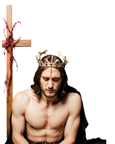 crown of thorns,crown-of-thorns,jesus christ and the cross,holy week,jesus on the cross,flower crown of christ,good friday,son of god,crucifix,jesus cross,christ star,the crucifixion,mark with a cross,holy cross,christ feast,calvary,jesus figure,pietà,christdorn,holyman,Art,Classical Oil Painting,Classical Oil Painting 33