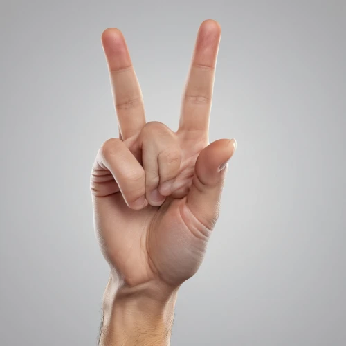 the gesture of the middle finger,hand gesture,hand sign,sign language,warning finger icon,thumbs signal,hand gestures,net promoter score,peace symbols,align fingers,peace sign,forefinger,finger pointing,hand pointing,pointing hand,thumb up,pointing finger,gesture rock,woman pointing,thumbs-up,Photography,General,Realistic
