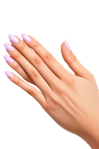 artificial nails,female hand,woman hands,nail oil,manicure,nail care,nail,fingernail polish,shellac,nail design,nails,claws,coral fingers,light purple,align fingers,gradient mesh,nail polish,natural pink,champagne color,light pink,Art,Classical Oil Painting,Classical Oil Painting 35