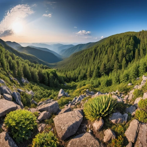 carpathians,the transfagarasan,mountainous landscape,transfagarasan,pyrenees,mountain landscape,eastern pyrenees,beech mountains,the russian border mountains,the landscape of the mountains,landscape mountains alps,mountainous landforms,panoramic landscape,gorges of the danube,tropical and subtropical coniferous forests,fagaras,view panorama landscape,background view nature,danube gorge,mountain valleys,Photography,General,Realistic