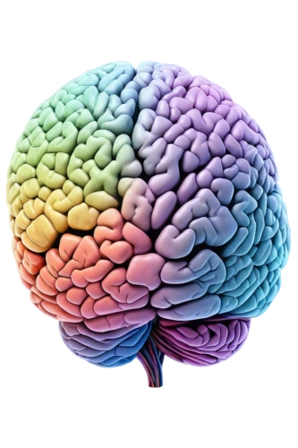 brain icon,cerebrum,human brain,brain structure,brain,cognitive psychology,brainy,magnetic resonance imaging,acetylcholine,neurath,neurology,mindmap,neural network,dopamine,neural,isolated product image,neural pathways,computed tomography,brainstorm,neurotransmitter,Illustration,Black and White,Black and White 12