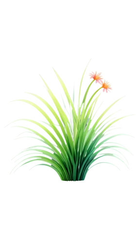 flowers png,palm tree vector,citronella,bromelia,tropical floral background,palm lily,potted palm,sweet grass plant,peach palm,pony tail palm,palm blossom,flower background,grass lily,flower illustration,pineapple lily,strelitzia,ikebana,fishtail palm,palm lilies,bromeliad,Art,Artistic Painting,Artistic Painting 40