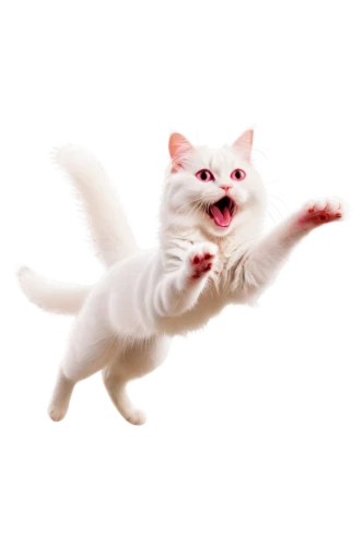 turkish van,funny cat,cat vector,white cat,leap for joy,cat image,japanese bobtail,turkish angora,leaping,pet vitamins & supplements,cute cat,cats angora,cat,computer mouse cursor,cats playing,meowing,cartoon cat,leap,polydactyl cat,hanging cat,Illustration,Black and White,Black and White 29