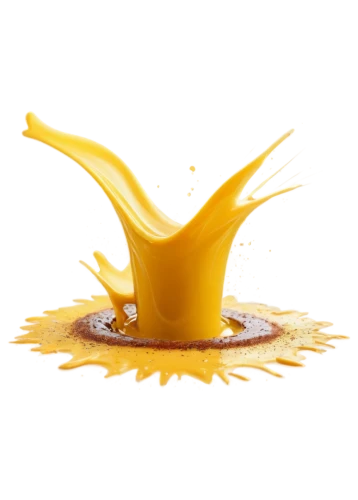 edible oil,mustard oil,cottonseed oil,condensed milk,sweetened condensed milk,hollandaise sauce,cooking oil,agave nectar,rice bran oil,yellow mustard,vegetable oil,advocaat,passion fruit oil,food additive,valencia orange,béarnaise sauce,oil,velouté sauce,mustard,plant oil,Photography,General,Commercial