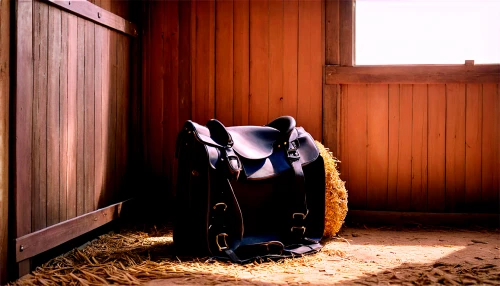 carrycot,horse-rocking chair,buffalo plaid rocking horse,horse stable,stroller,room newborn,baby room,horse tack,infant bed,nursery,dressage,equestrian sport,baby carriage,equestrian,diaper bag,rocking horse,stables,boy's room picture,baby gate,the little girl's room,Illustration,Vector,Vector 06