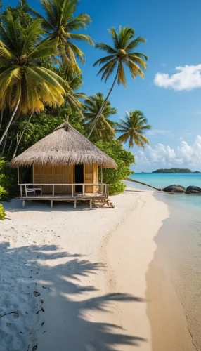 tropical beach,caribbean beach,dream beach,cook islands,seychelles,maldive islands,beach landscape,caribbean,fiji,french polynesia,the caribbean,beautiful beaches,antilles,beautiful beach,paradise beach,tropical island,white sandy beach,umbrella beach,tahiti,beach scenery,Photography,General,Realistic