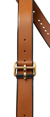 reed belt,belt,belts,belt with stockings,milbert s tortoiseshell,climbing harness,scabbard,horse tack,lifebelt,bridle,westphalian dachsbracke,buckle,leather goods,watch accessory,life belt,alpine dachsbracke,halter,violin neck,wooden saddle,leather suitcase,Illustration,Japanese style,Japanese Style 19