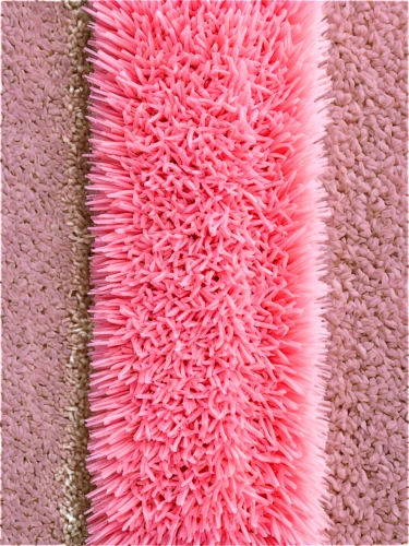 isolated product image,pink grass,pink paper,crepe paper,carpet,carpet sweeper,glass fiber,bristles,cotton pad,connective tissue,fabric texture,seamless texture,blotting paper,pink carnation,textile,brush,luffa,fur,washcloth,pink quill,Art,Artistic Painting,Artistic Painting 46