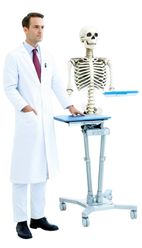 healthcare professional,skeletal,chiropractic,medical radiography,human skeleton,healthcare medicine,medical technology,calcium,medical imaging,pathologist,chiropractor,consultant,medical professionals,medical staff,skeletons,skeletal structure,skeleltt,physiotherapist,radiologic technologist,physician,Art,Artistic Painting,Artistic Painting 28