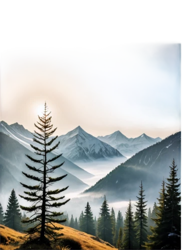 watercolor pine tree,larch forests,larch trees,pine trees,spruce trees,landscape background,coniferous forest,spruce-fir forest,temperate coniferous forest,evergreen trees,larch tree,pine tree,tropical and subtropical coniferous forests,conifers,spruce forest,fir trees,blue spruce,pine-tree,spruce tree,background vector,Art,Artistic Painting,Artistic Painting 05